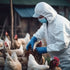 Does the First Death from Bird Flu Bring a Pandemic Closer to Reality?