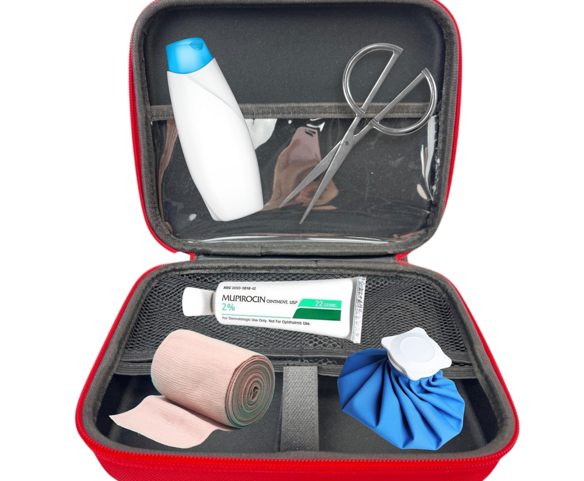 First Aid Emergency Kit– The Wellness Company